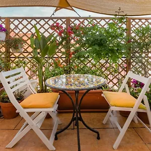 Bed & Breakfast Roof Garden